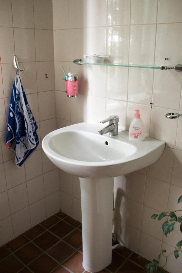 Guest House On Maksimova 9 阿拉木图 外观 照片